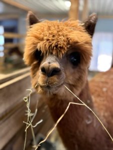 Photos from Kuopion Autokauppa Oy's post