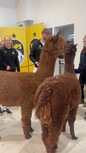 A post from Kuopion Autokauppa Oy