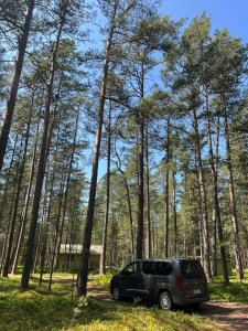 Missä Toyota immeiset viettää Jussia?