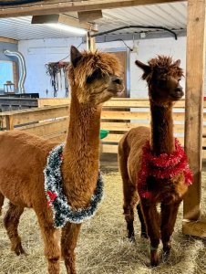 Photos from Kuopion Autokauppa Oy's post