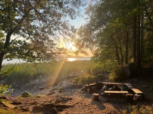 Kesä ja kärpäset…ja kesän aukioloajat!