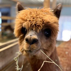 Photos from Kuopion Autokauppa Oy's post